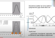 aydinlatmada-kalite-ve-biyoritm-2