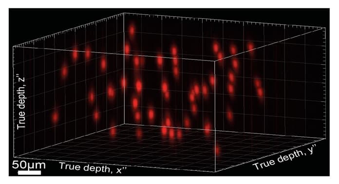 hologram-deneyleri-ve-sinirbilimde-isik-1