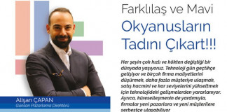 mavi-okyanus-stratejisi-makale-gorseli