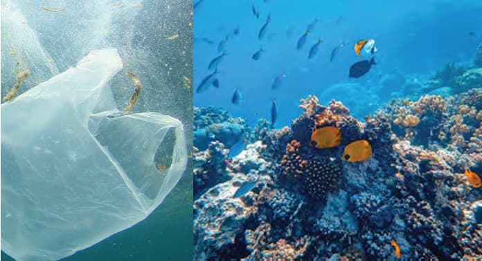 plastik-atiklarin-denizlere-zararlari