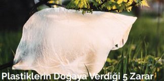 Plastiklerin Doğaya Verdiği 5 Zarar plastiklerin-dogaya-verdigi-5-zarar