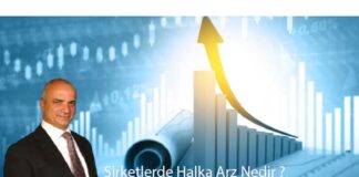 sirketlerde-halka-arz-1