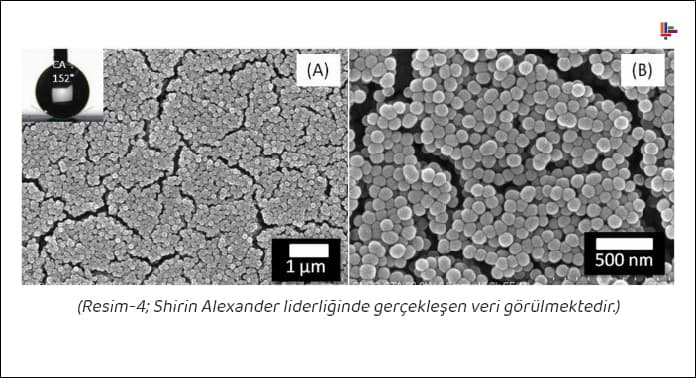 resim-4-shirin-alexander-liderliginde-gerceklesen-veriler (1)