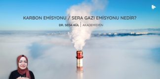 Karbon Emisyonu / Sera Gazı Emisyonu Nedir? karbon-emisyonu-sera-gazi-emisyonu-nedir
