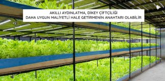 Akıllı Aydınlatma, Dikey Çiftçiliği Daha Uygun Maliyetli Hale Getirmenin Anahtarı Olabilir akilli-aydinlatma-dikey-ciftligi-daha-uygun-maliyetli-hale-getirmenin-anahtari-olabilir