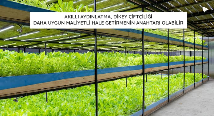 akilli-aydinlatma-dikey-ciftligi-daha-uygun-maliyetli-hale-getirmenin-anahtari-olabilir akilli-aydinlatma-dikey-ciftligi-daha-uygun-maliyetli-hale-getirmenin-anahtari-olabilir