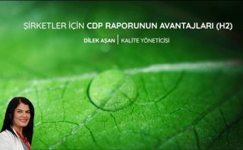 Şirketler İçin CDP Raporunun Avantajları