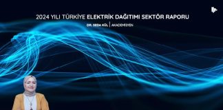 2024 Yılı Türkiye Elektrik Dağıtımı Sektör Raporu