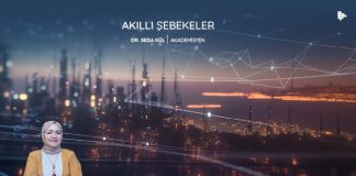 Akıllı Şebekeler