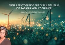 Enerji Sektöründe Sürdürülebilirlik: IoT Tabanlı KOBİ Çözümleri